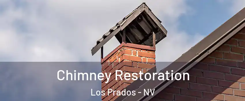 Chimney Restoration Los Prados - NV
