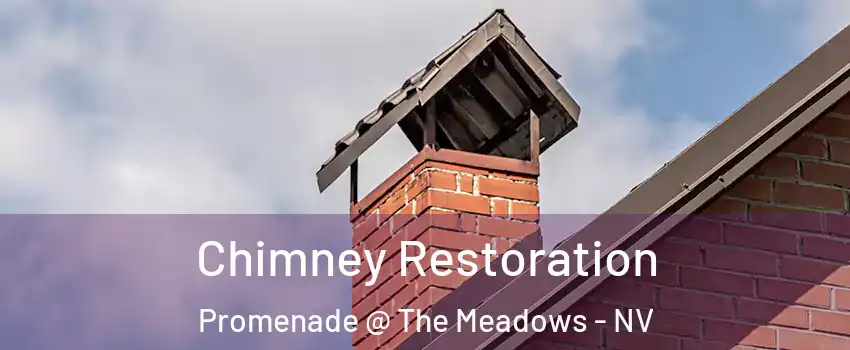 Chimney Restoration Promenade @ The Meadows - NV