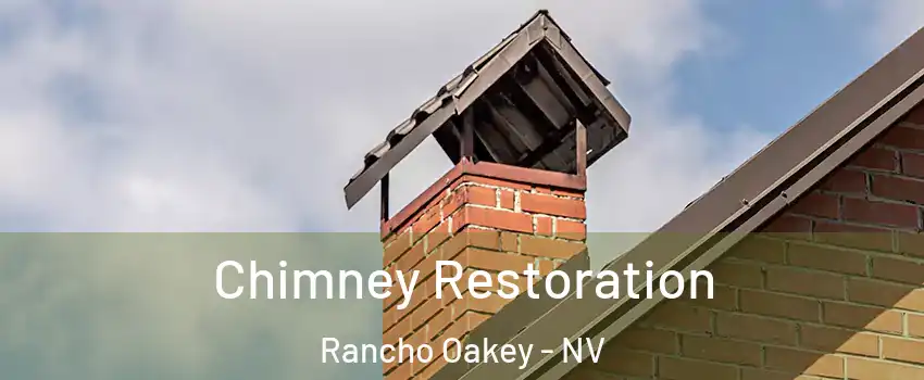 Chimney Restoration Rancho Oakey - NV
