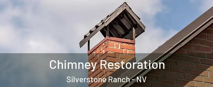 Chimney Restoration Silverstone Ranch - NV