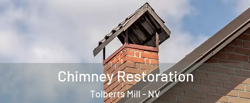 Chimney Restoration Tolberts Mill - NV