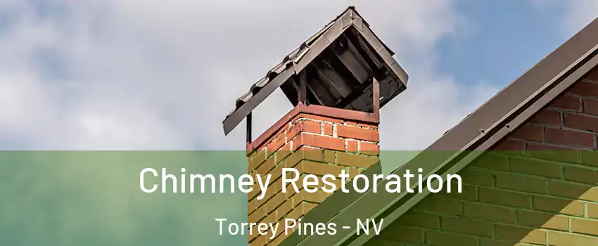 Chimney Restoration Torrey Pines - NV