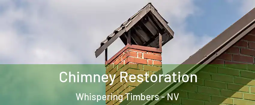 Chimney Restoration Whispering Timbers - NV