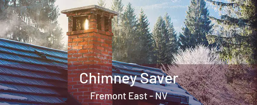 Chimney Saver Fremont East - NV