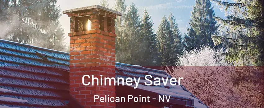 Chimney Saver Pelican Point - NV