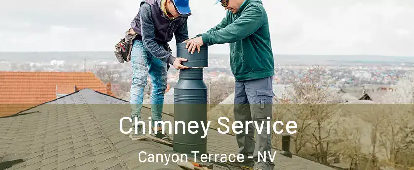 Chimney Service Canyon Terrace - NV