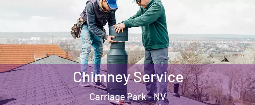 Chimney Service Carriage Park - NV