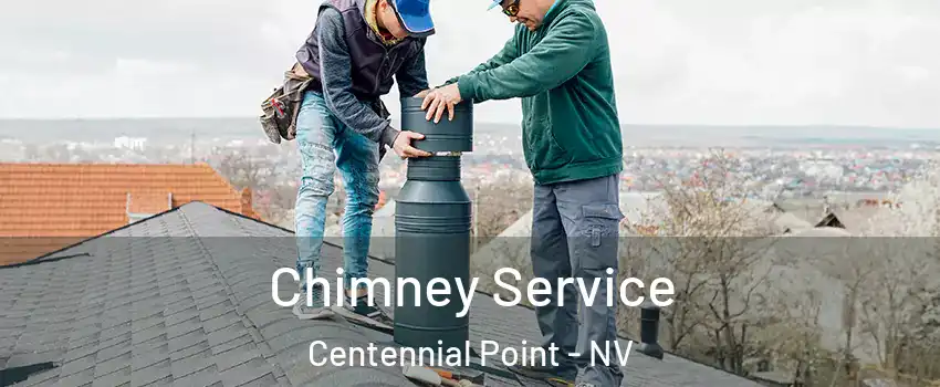 Chimney Service Centennial Point - NV