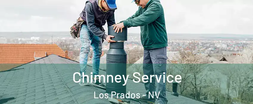 Chimney Service Los Prados - NV