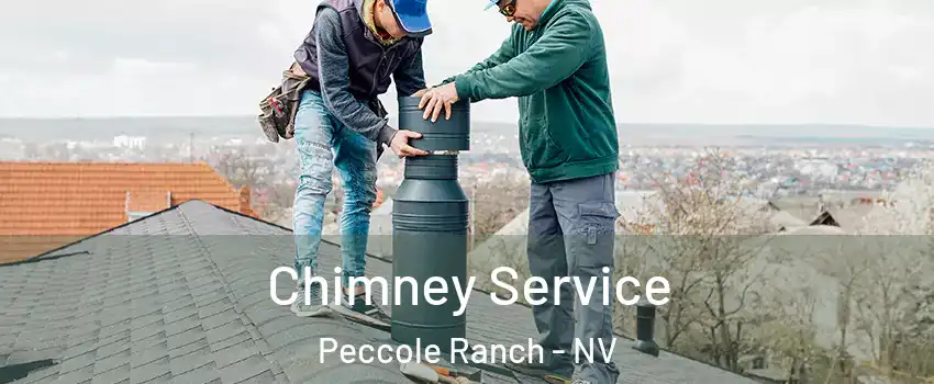 Chimney Service Peccole Ranch - NV
