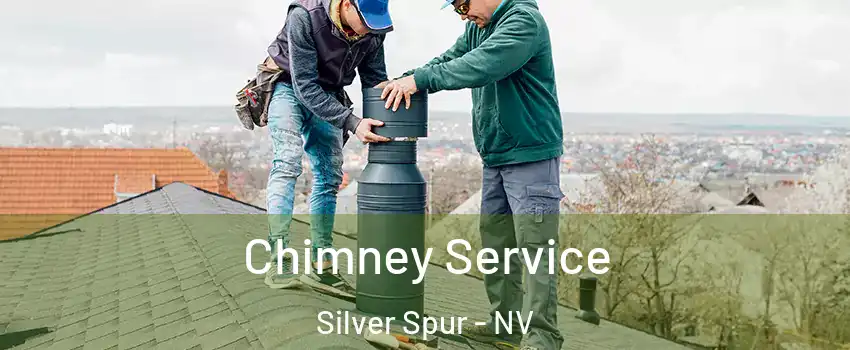 Chimney Service Silver Spur - NV