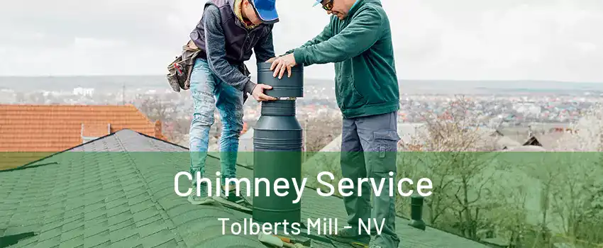 Chimney Service Tolberts Mill - NV