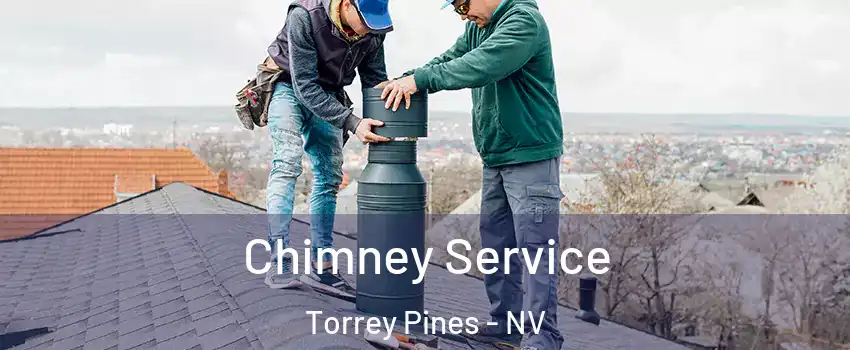Chimney Service Torrey Pines - NV