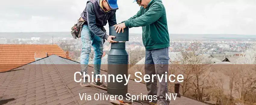 Chimney Service Via Olivero Springs - NV