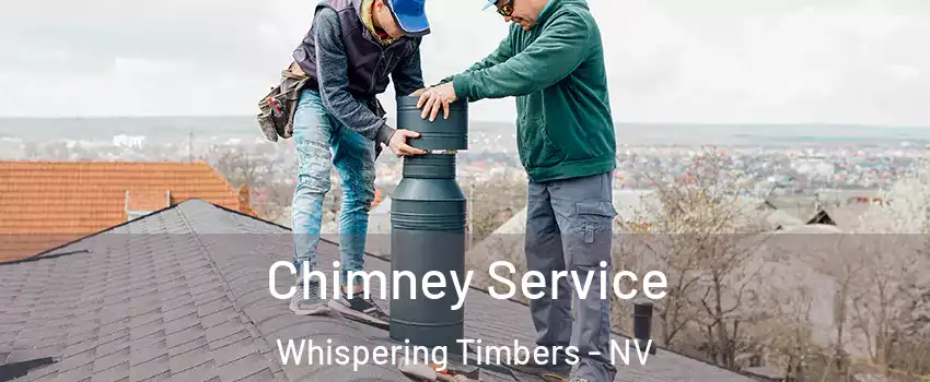 Chimney Service Whispering Timbers - NV