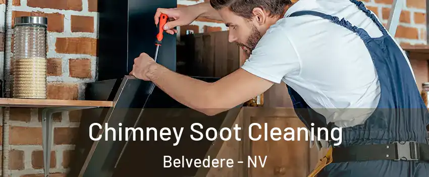 Chimney Soot Cleaning Belvedere - NV