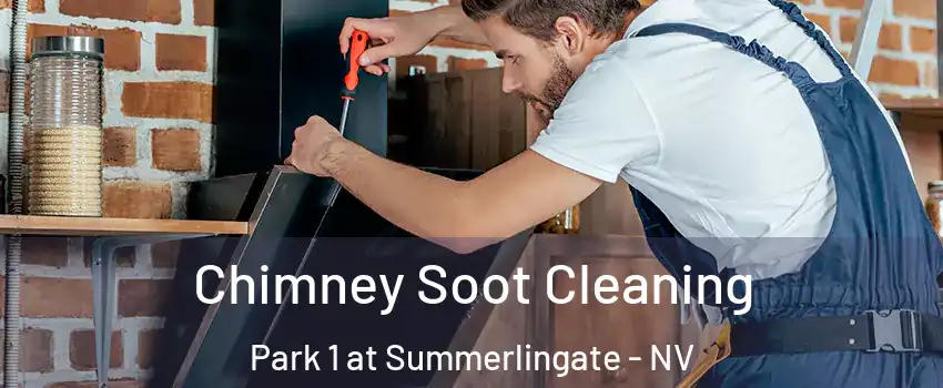 Chimney Soot Cleaning Park 1 at Summerlingate - NV