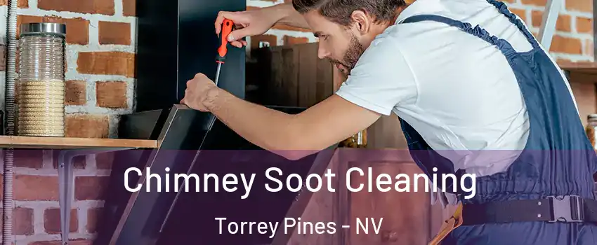 Chimney Soot Cleaning Torrey Pines - NV