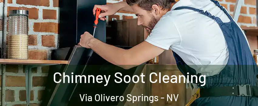 Chimney Soot Cleaning Via Olivero Springs - NV