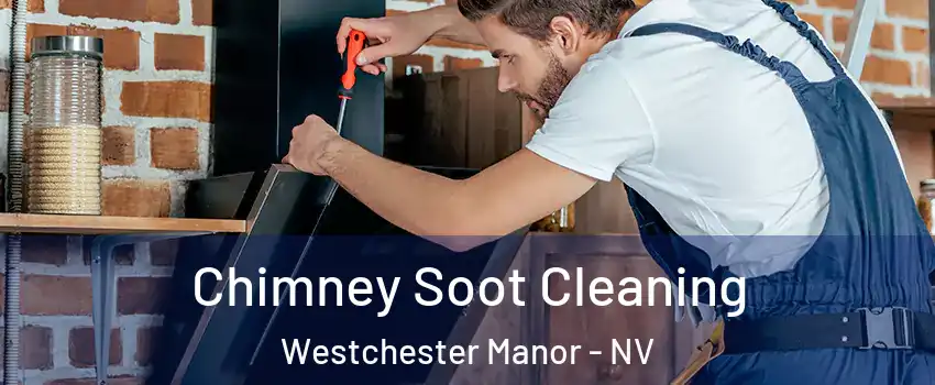Chimney Soot Cleaning Westchester Manor - NV