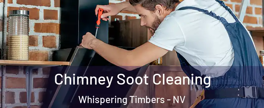 Chimney Soot Cleaning Whispering Timbers - NV