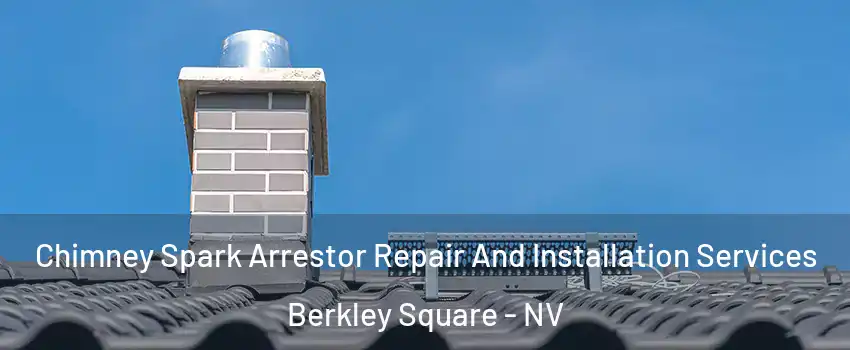 Chimney Spark Arrestor Repair And Installation Services Berkley Square - NV