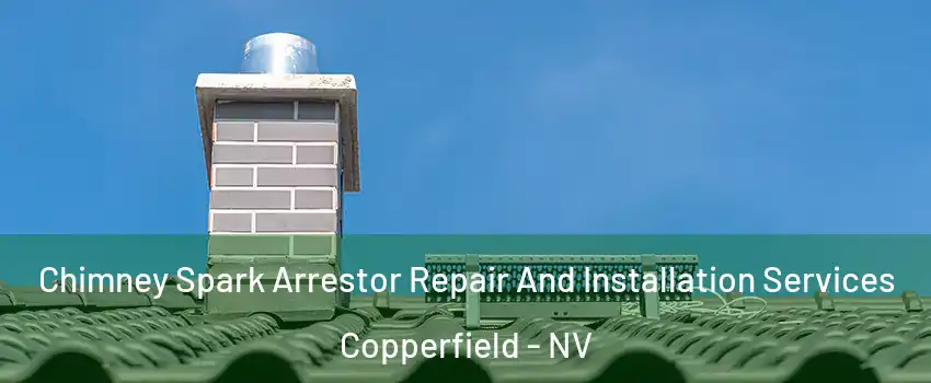 Chimney Spark Arrestor Repair And Installation Services Copperfield - NV