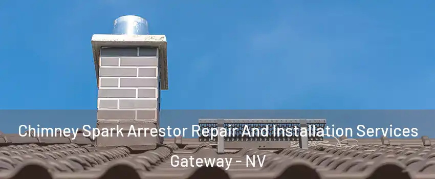 Chimney Spark Arrestor Repair And Installation Services Gateway - NV