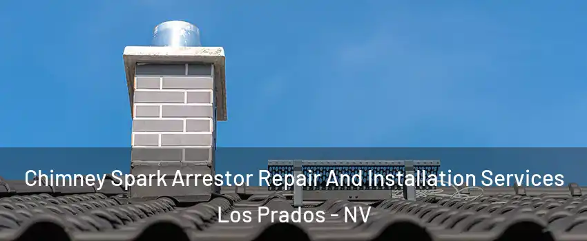 Chimney Spark Arrestor Repair And Installation Services Los Prados - NV