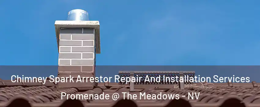 Chimney Spark Arrestor Repair And Installation Services Promenade @ The Meadows - NV