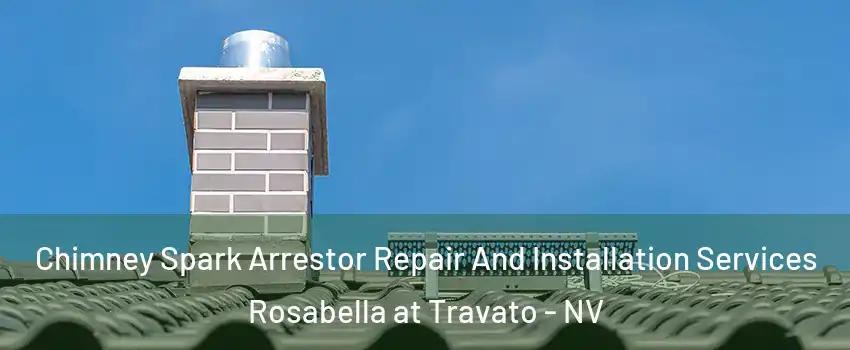 Chimney Spark Arrestor Repair And Installation Services Rosabella at Travato - NV