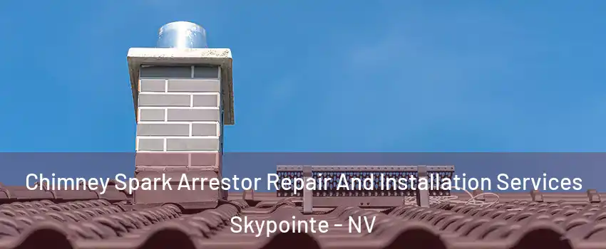 Chimney Spark Arrestor Repair And Installation Services Skypointe - NV