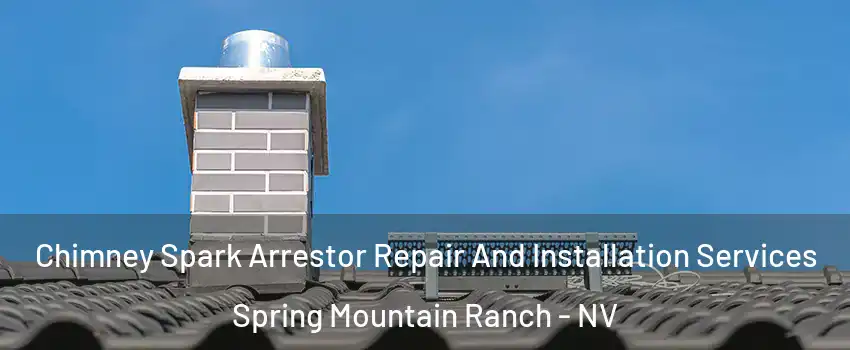 Chimney Spark Arrestor Repair And Installation Services Spring Mountain Ranch - NV