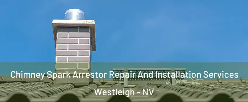 Chimney Spark Arrestor Repair And Installation Services Westleigh - NV