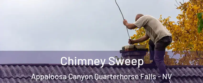 Chimney Sweep Appaloosa Canyon Quarterhorse Falls - NV