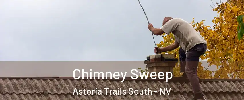 Chimney Sweep Astoria Trails South - NV