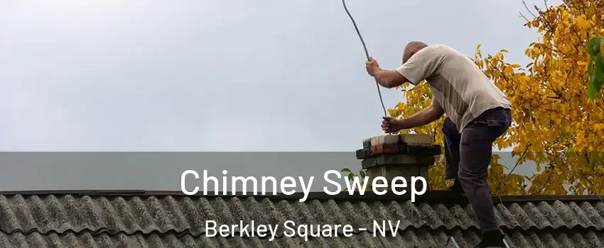 Chimney Sweep Berkley Square - NV