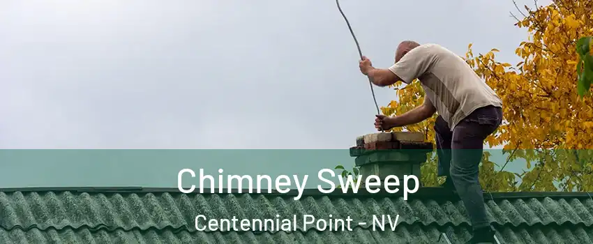 Chimney Sweep Centennial Point - NV