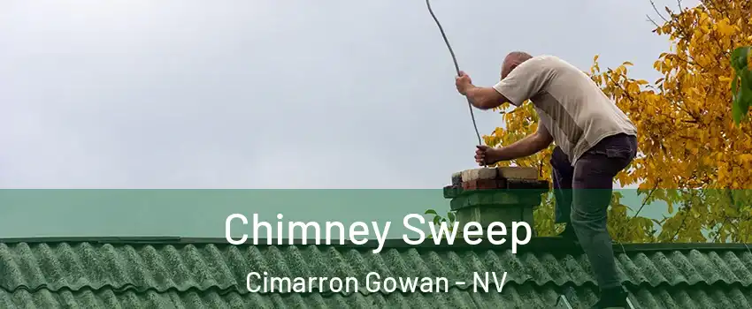 Chimney Sweep Cimarron Gowan - NV