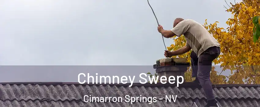 Chimney Sweep Cimarron Springs - NV