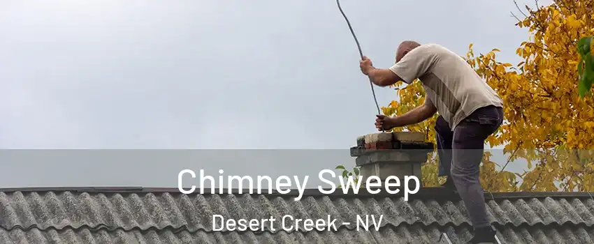 Chimney Sweep Desert Creek - NV