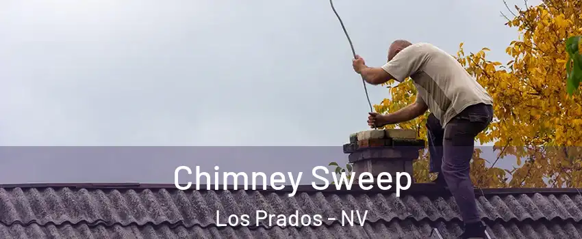 Chimney Sweep Los Prados - NV