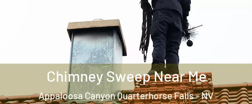 Chimney Sweep Near Me Appaloosa Canyon Quarterhorse Falls - NV