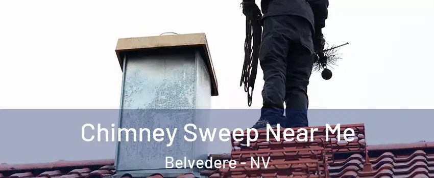 Chimney Sweep Near Me Belvedere - NV