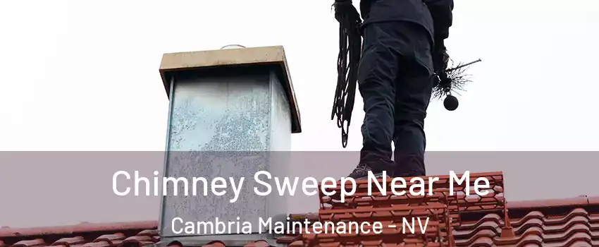 Chimney Sweep Near Me Cambria Maintenance - NV