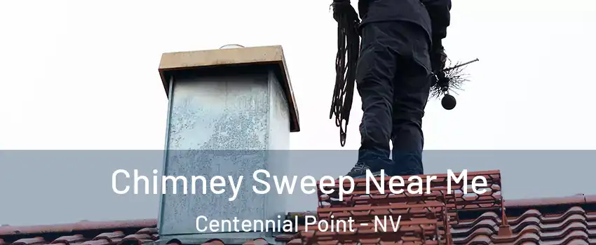 Chimney Sweep Near Me Centennial Point - NV