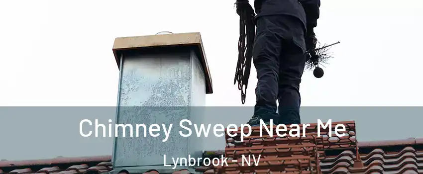 Chimney Sweep Near Me Lynbrook - NV