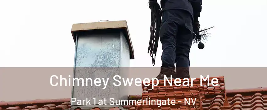 Chimney Sweep Near Me Park 1 at Summerlingate - NV