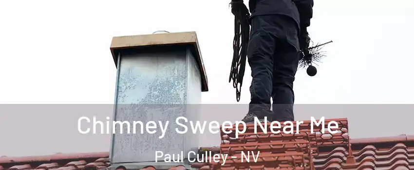Chimney Sweep Near Me Paul Culley - NV