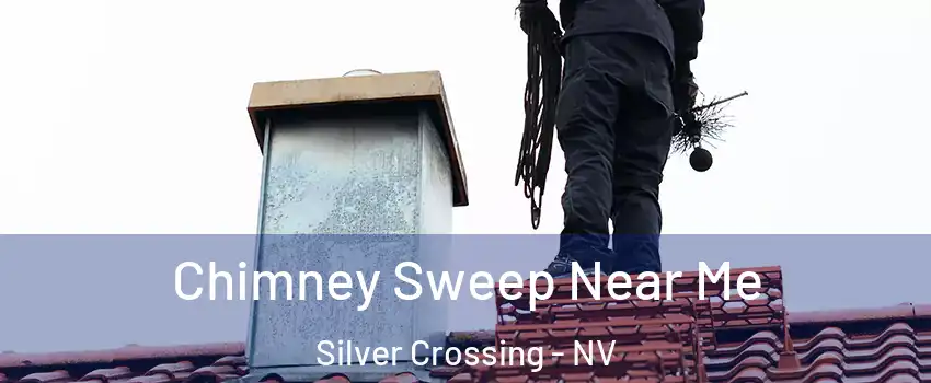 Chimney Sweep Near Me Silver Crossing - NV